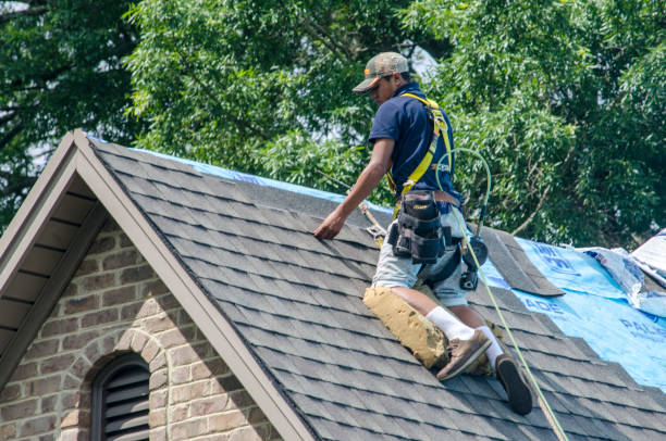 Best New Roof Installation  in Hillsboro, MO